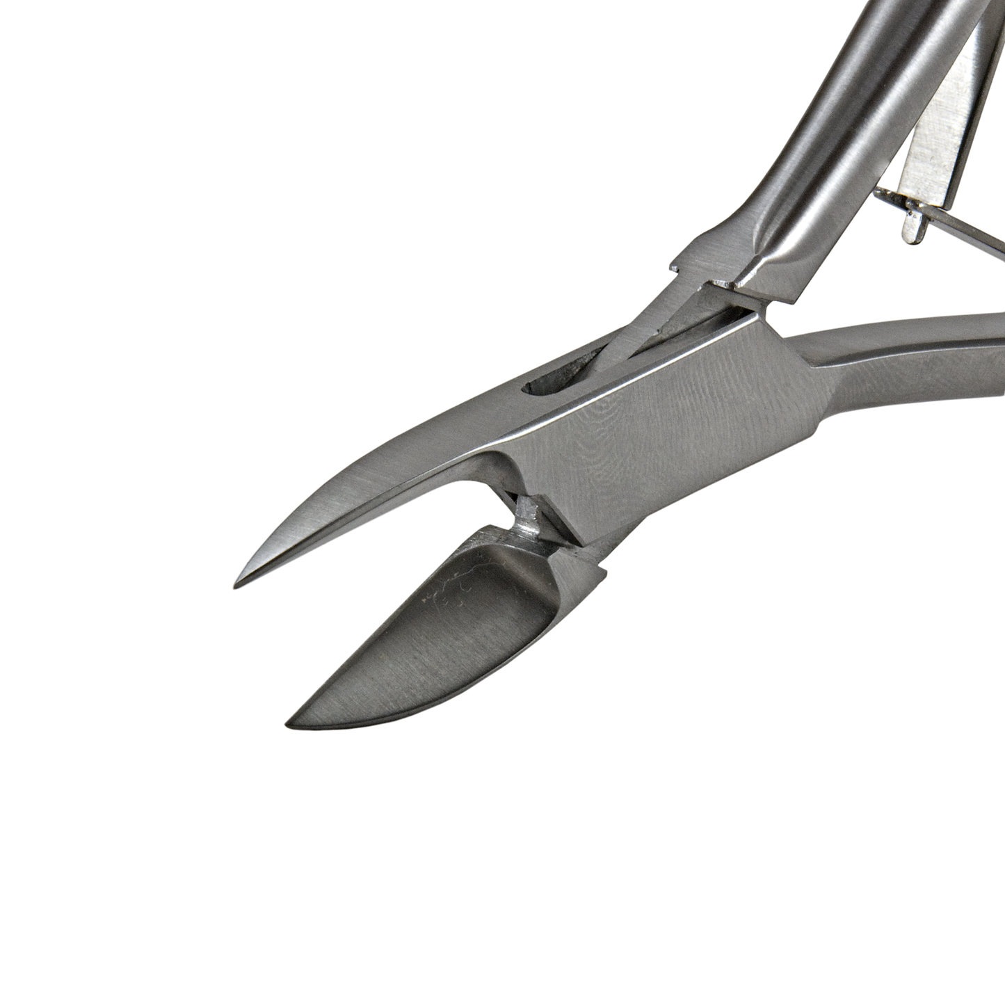 Nail Nipper 6", Straight Jaws, Double Spring, Stainless Steel