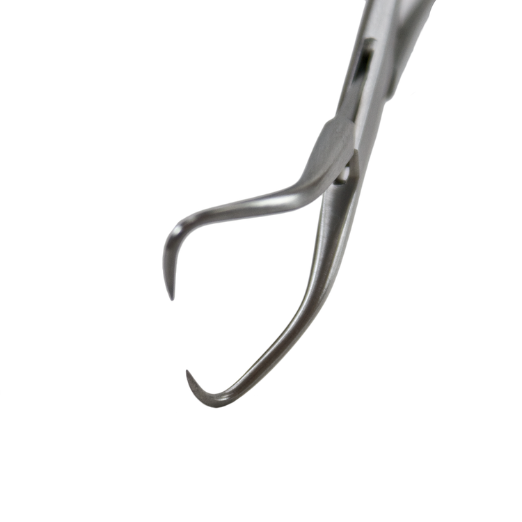 Delasco TC-11 Backhaus Towel Clamp 4.5 in, Stainless Steel