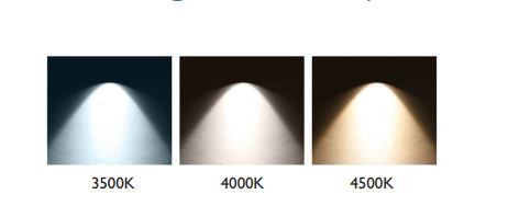 Burton Medical SELEDACT Super Exam LED with Adjustable Color, Table Mount