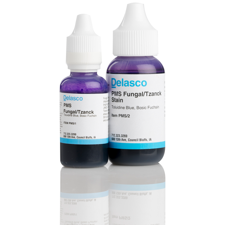 PMS Fungal Tzanck Stain