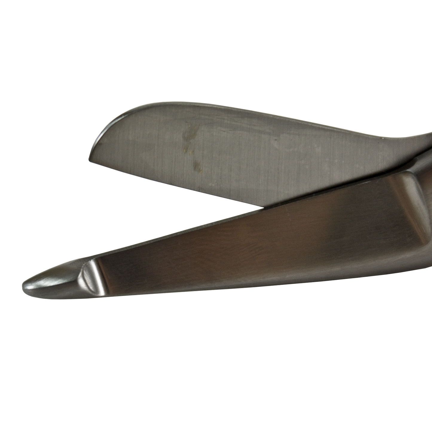 Delasco S-005 Lister Bandage Removal Scissors, (18.4cm) 7 1/4" , Stainless Steel