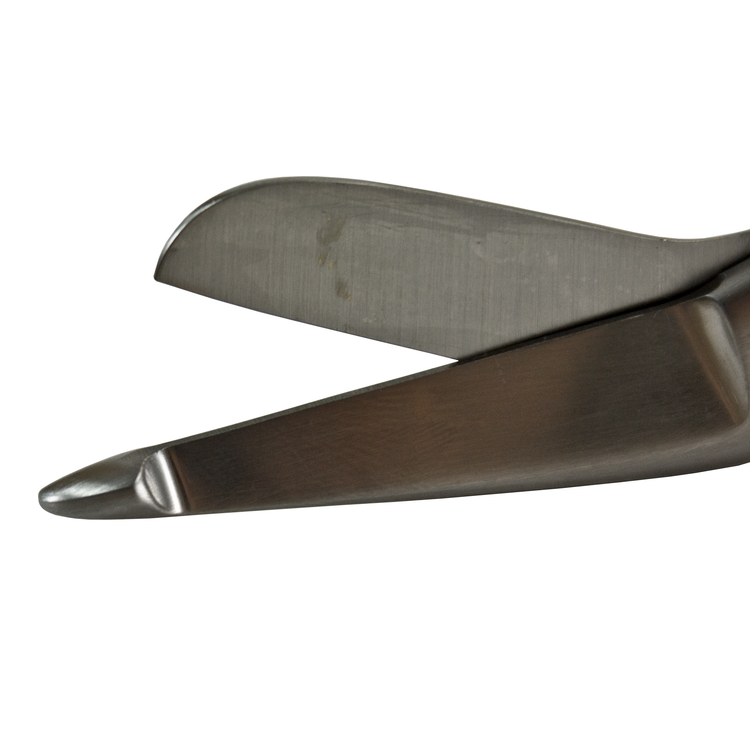 Delasco S-005 Lister Bandage Removal Scissors, (18.4cm) 7 1/4" , Stainless Steel